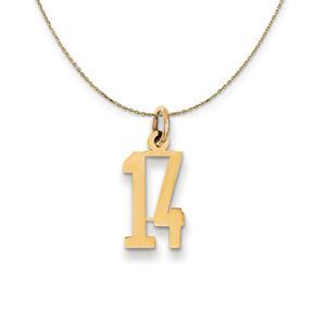14k Yellow Gold, Alumni Small Elongated Number 14 Necklace - 16 Inch